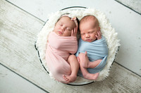 20170801 Bentley Newborn